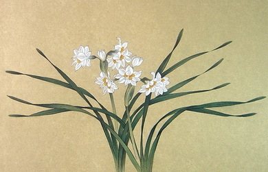 漳州的这朵“仙花”,占领全国98%的市场,经常在春晚“出镜”