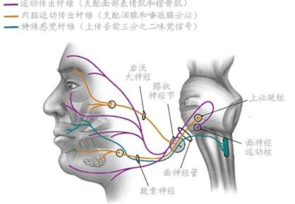 有专治半边瘫的医院吗,全国治半边瘫排名第一的医院