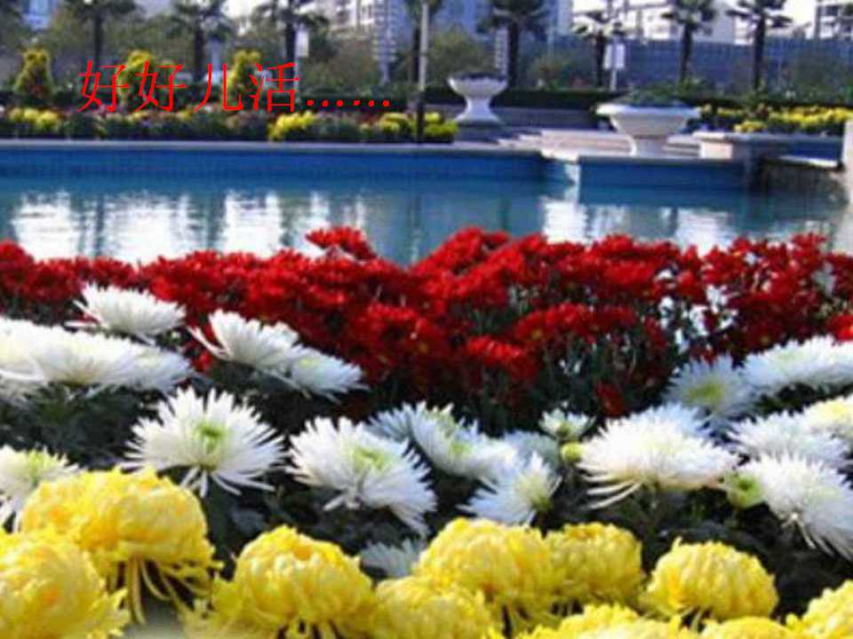 秋天的怀念课文讲解视频,秋天的怀念课文什么时候纳入教材