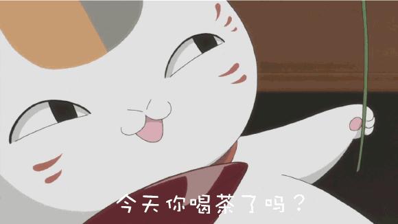 好茶的口感标准是什么,五个标准教你一招鉴别好茶