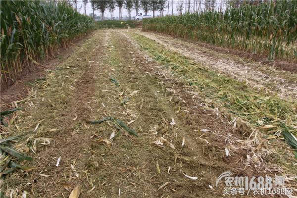 用户和玉米收获机的精神恋爱，良缘还是虐缘请看现场直播