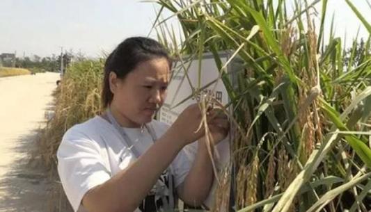 合肥2021年机动车号牌新号段,早安合肥包河区