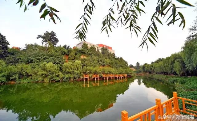 郑州樱桃沟过渡费,承包樱桃园一年费用