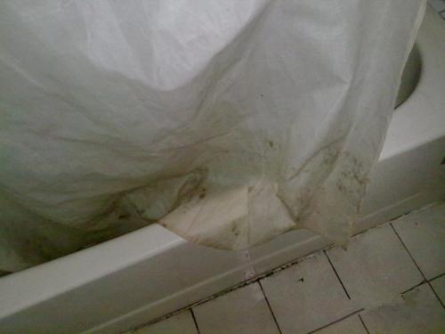 浴帘的霉点怎么洗掉,浴帘上的霉点霉斑怎么去除