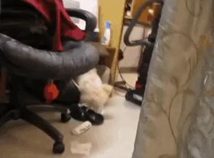 500万彩票大奖得主,5个亿彩票得主