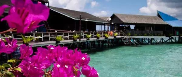 海上仙境,海上仙境完整版