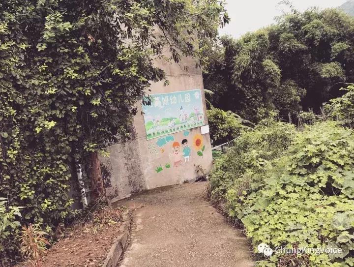 重庆桃花岛和中坝岛,重庆最大中坝岛