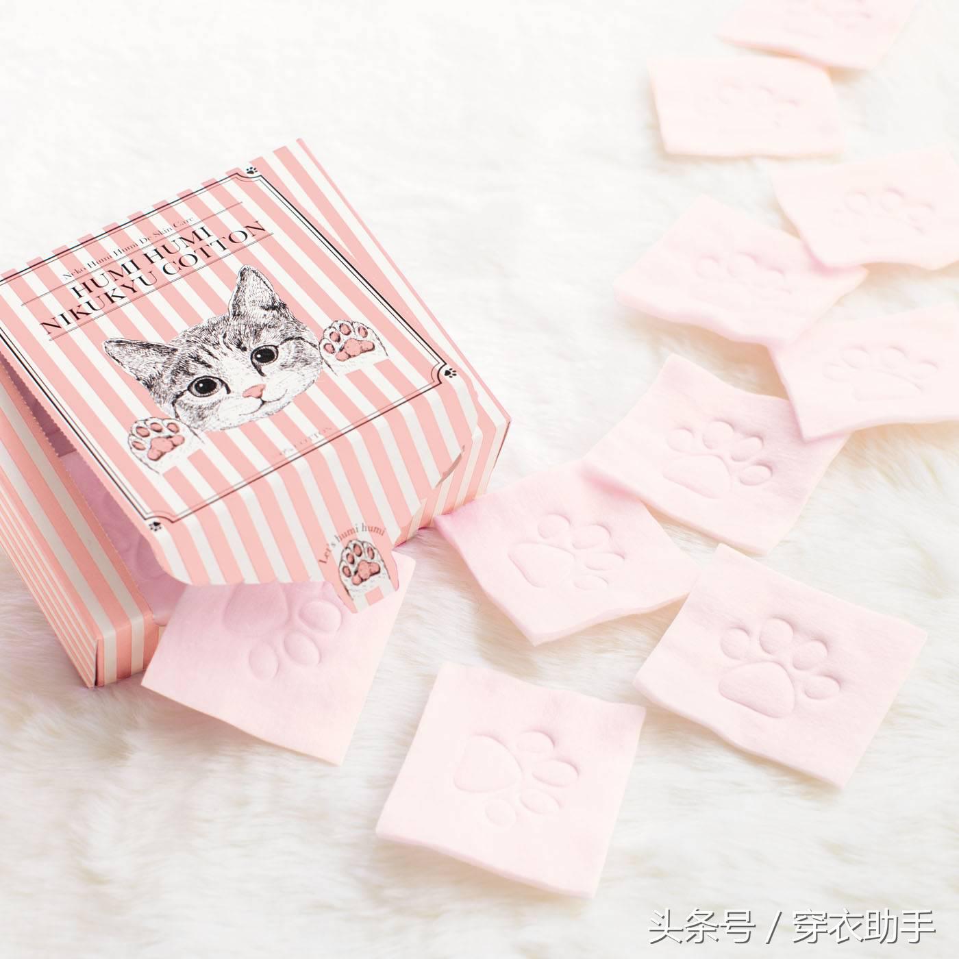 提升猫咪智商的玩具,提高猫咪的生活品质