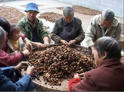 秒杀橄榄油的古代皇帝*用御**油获“油王”美称如今无人问津