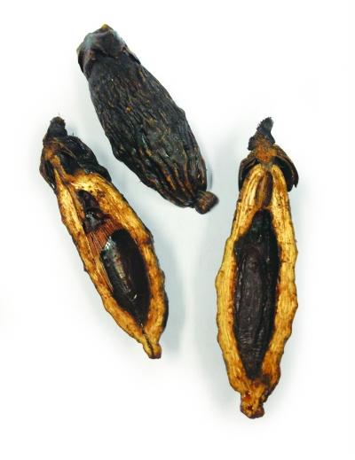 槟榔产业背后的秘密,槟榔行业前景堪忧