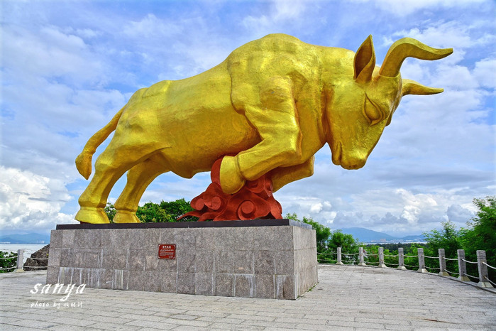 天堂很远中国很近,天堂很远扎西尼玛