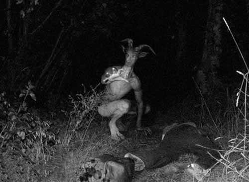 盘点全球十大恐怖怪物,世界十大恐怖海底怪物