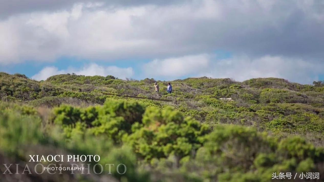 玩转南澳大利亚，这篇最全旅行攻略一定可以帮到你