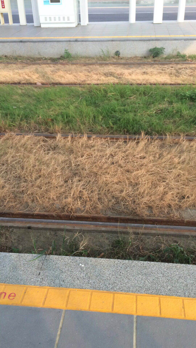 我在台湾生活日志,台湾八天游