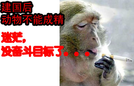 虚假的崇高，情感上的自我愚弄，诸君，我厌恶刻奇