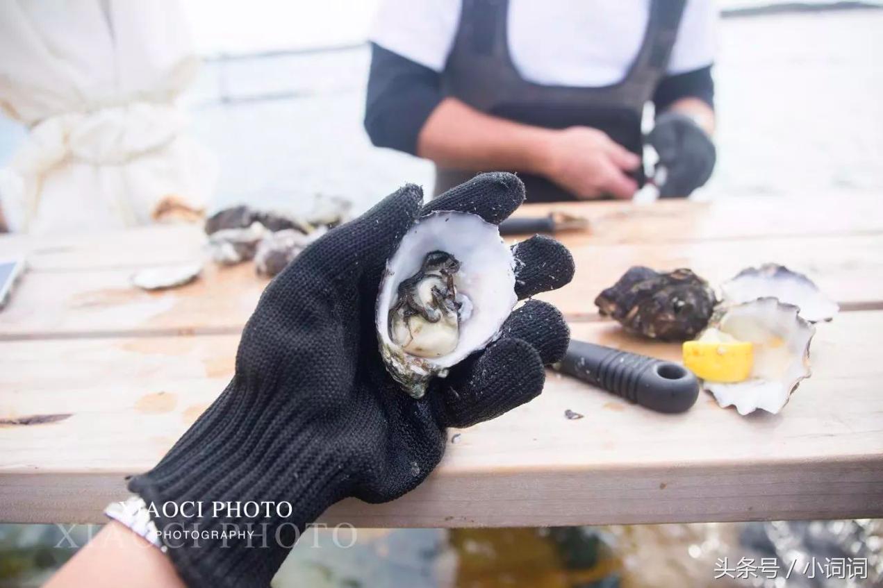 玩转南澳大利亚，这篇最全旅行攻略一定可以帮到你