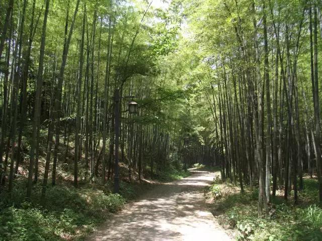 杭州市区民宿推荐性价比高的,杭州西湖的民宿200多一晚