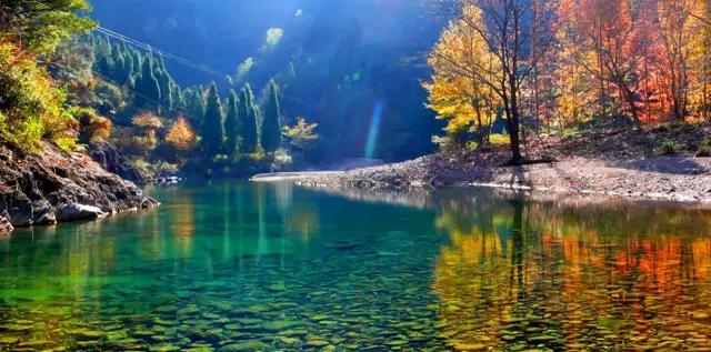 仙居美食餐厅推荐日料,仙居美食推荐