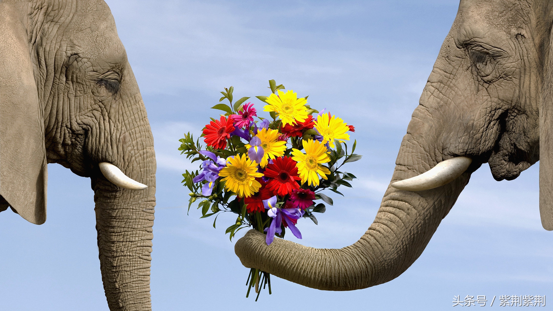 国庆长假抢钱了？老司机教你境外旅游怎样省出一部iphoneX