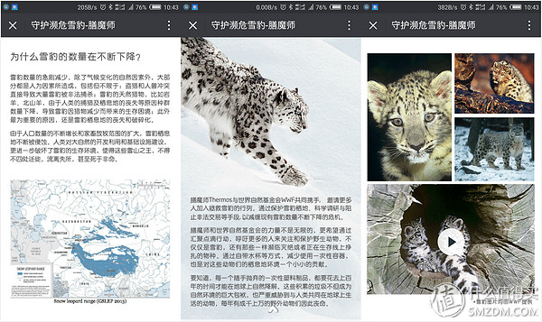 膳魔师雪豹限定版,膳魔师雪豹