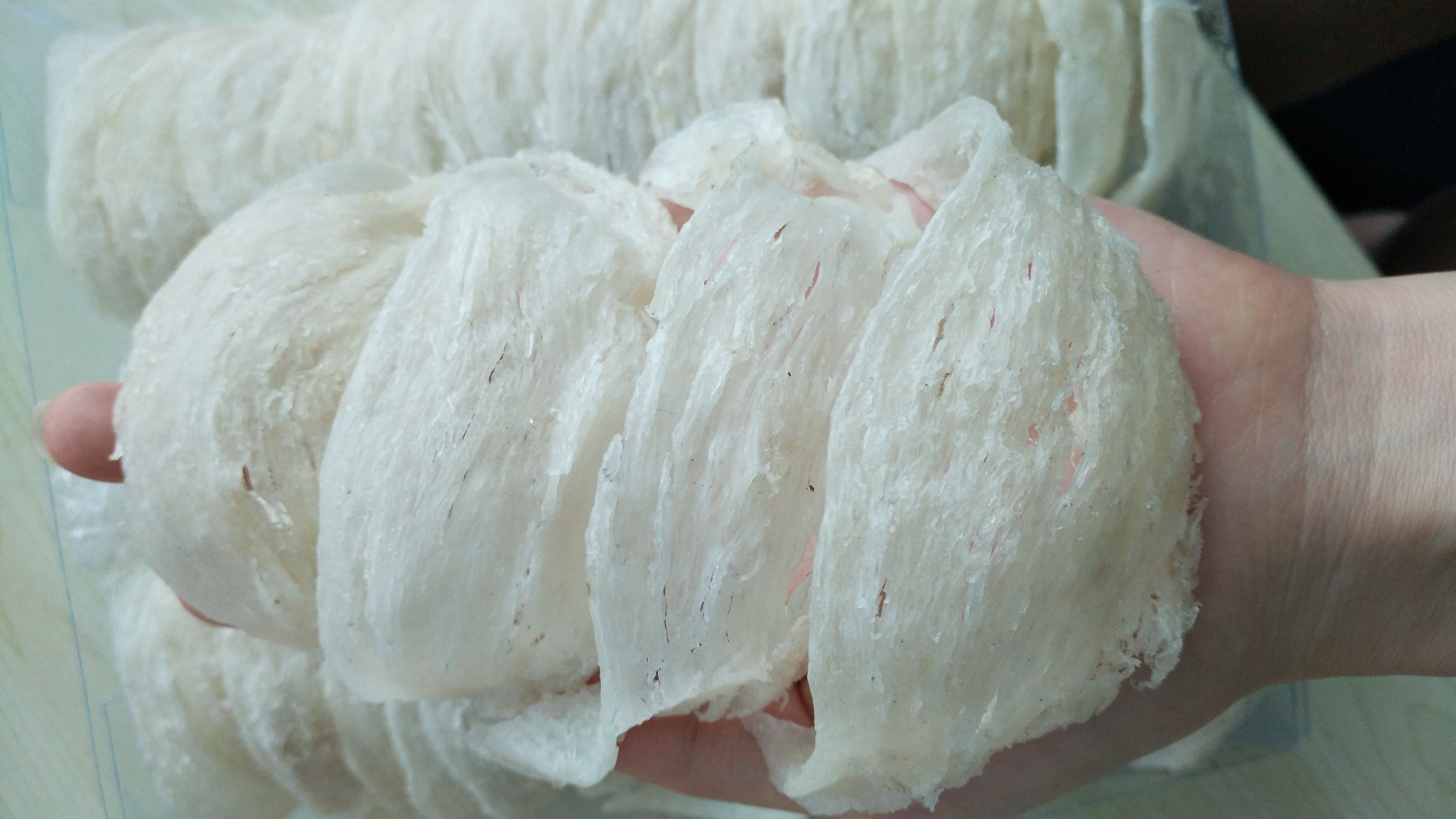 马来西亚燕窝与印尼燕窝哪个好,马来西亚的燕窝和印尼燕窝区别