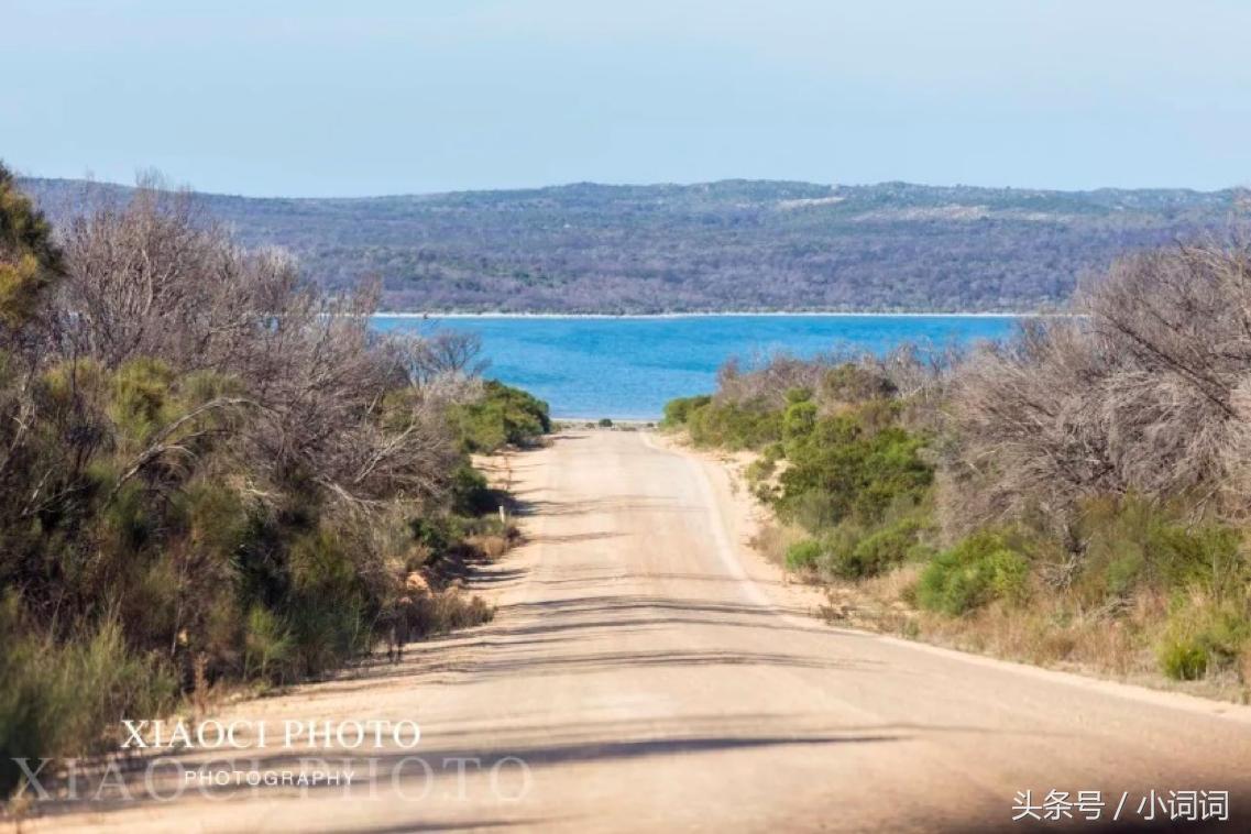 玩转南澳大利亚，这篇最全旅行攻略一定可以帮到你