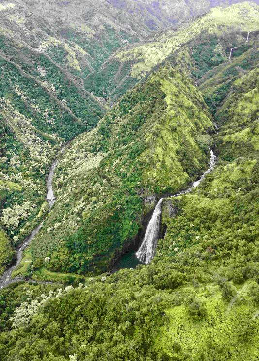 一封来自家乡的邀请函,夏威夷发来的邀请函