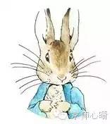 彼得兔的经典故事8册,彼得兔的故事书目推荐