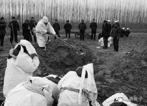 通渭县文化习俗,甘肃通渭县丧葬孙子需要做什么