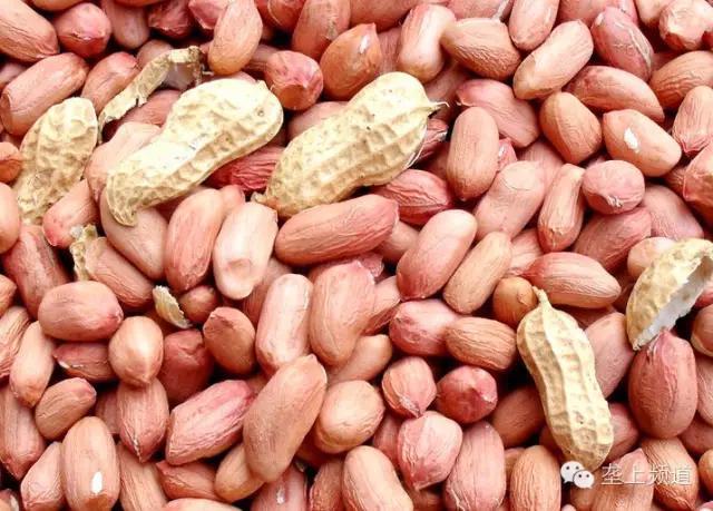 吓人吃瓜子竟然吃出病,嗑瓜子会导致什么病