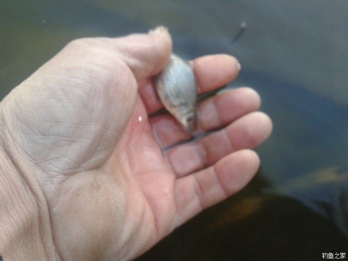 远征远征17,远征17-20