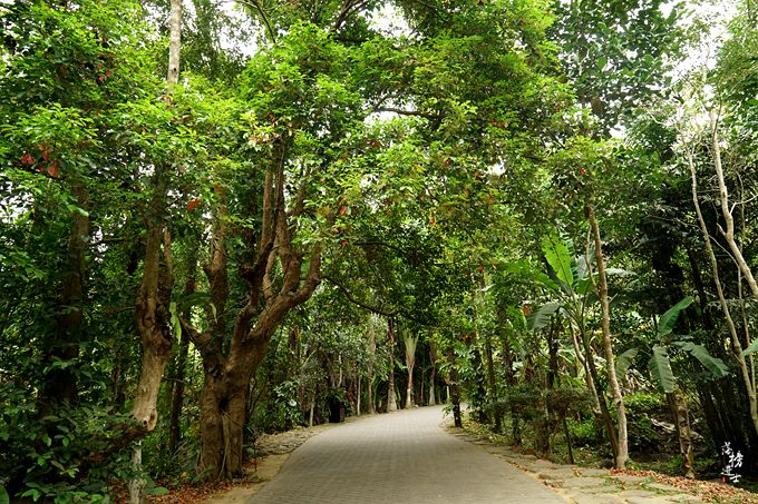 呀诺达，拾起我童年记忆的热带雨林