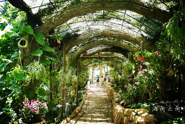 5天4夜三亚之旅,和闺蜜来三亚一定要这样玩