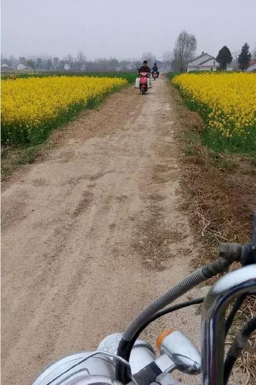 汉中市新闻最新消息,汉中3月新闻