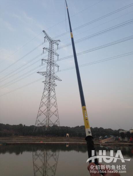 揭秘龙背后的故事,为什么那么多龙纹鲤