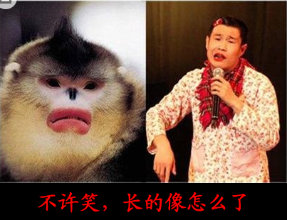 内涵段子，搞笑笑话：不许笑，长的像怎么了