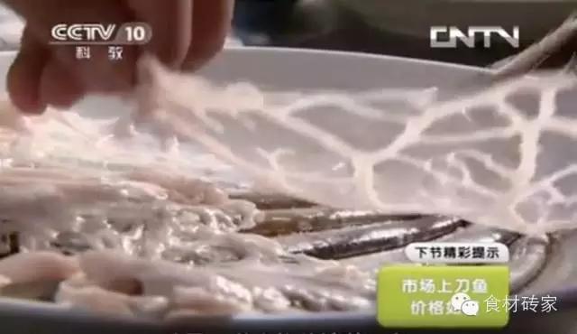 刀鱼价格2022,刀鱼价格