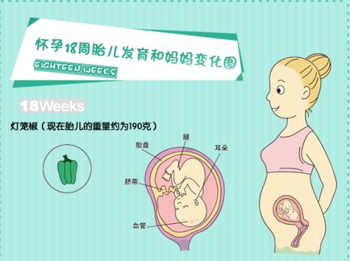 怀孕第20天症状有哪些,怀孕第8周有哪些症状