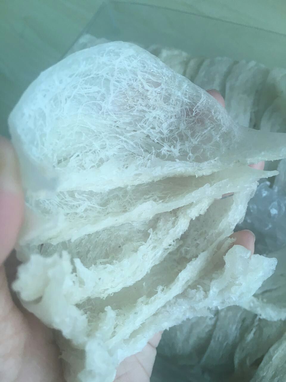 马来西亚燕窝与印尼燕窝哪个好,马来西亚的燕窝和印尼燕窝区别