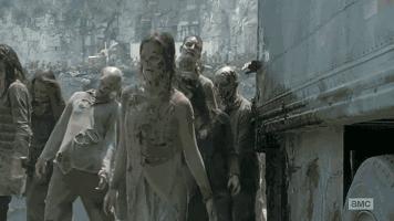 不恐怖的僵尸电影搞笑,僵尸国度最恐怖的电视剧