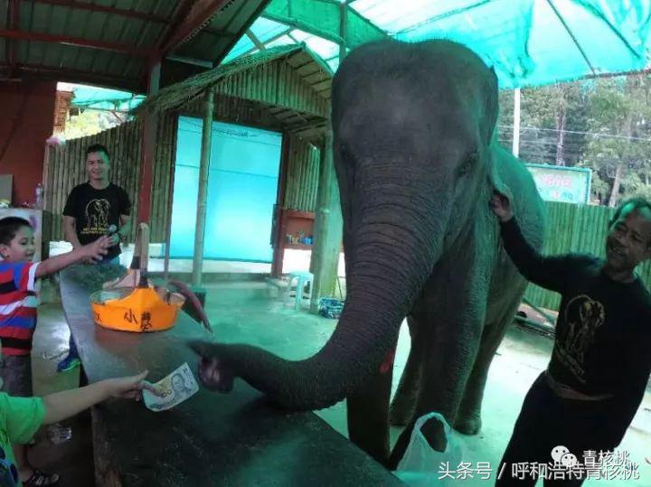 刷我滴卡泰国原版,呼和浩特直飞普吉岛