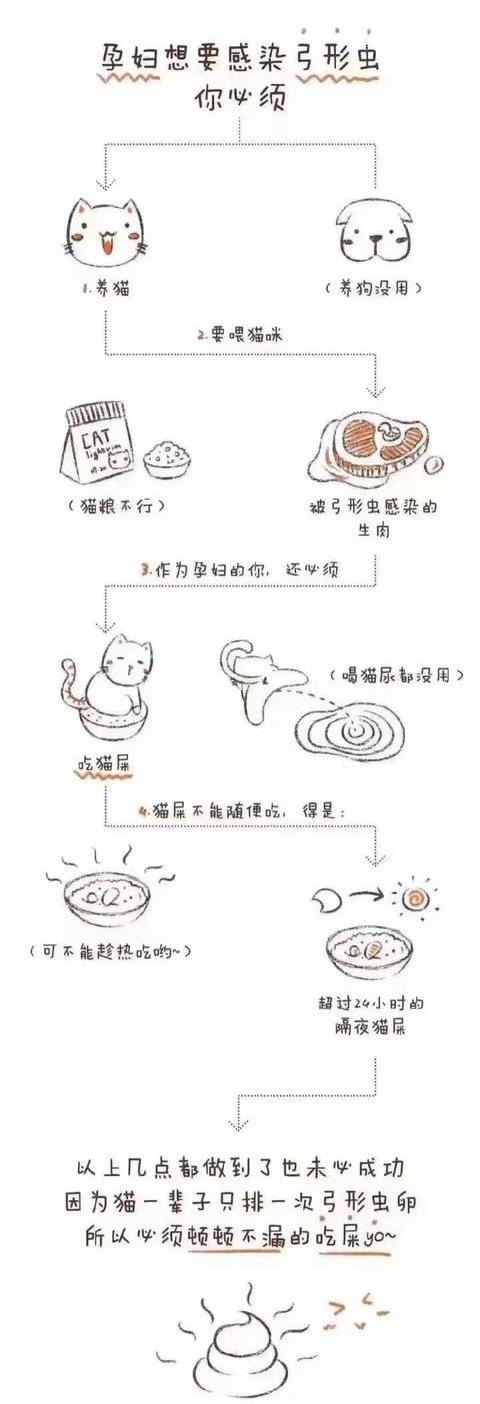 宠物弓形虫怎么传染给孕妇,孕妇得了弓形虫一定会感染胎儿吗