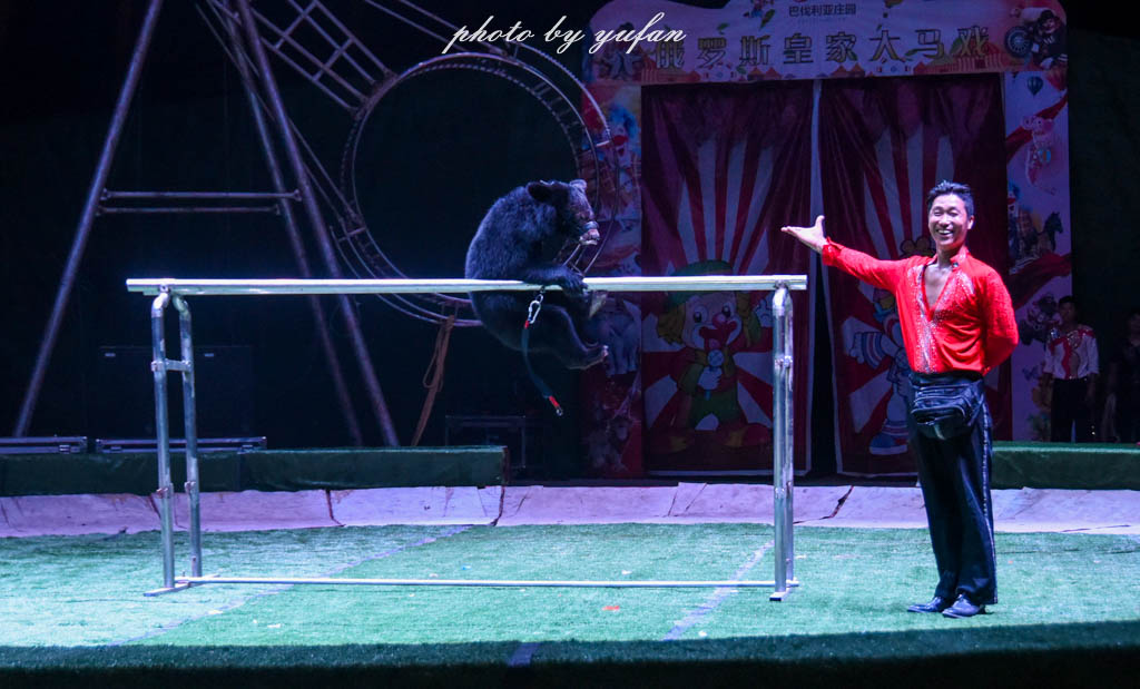 皇家大马戏巴伐利亚,广东哪里有大马戏