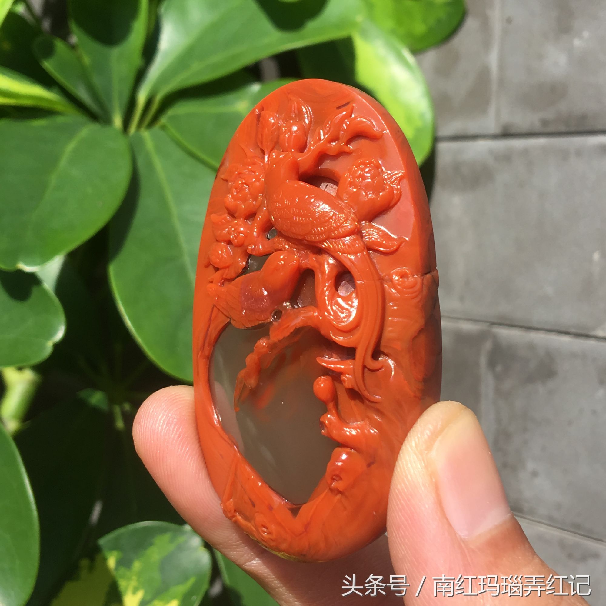 花开富贵喜鹊图寓意,喜鹊花开富贵图