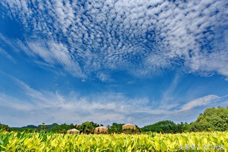 杭州西湖美景千岛湖,天下第一秀水杭州千岛湖