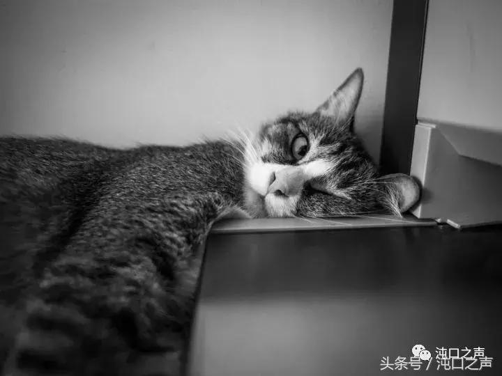 国庆小长假最后一天发朋友圈,国庆第3天朋友圈