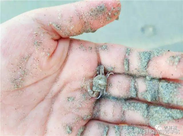 刷我滴卡泰国原版,呼和浩特直飞普吉岛