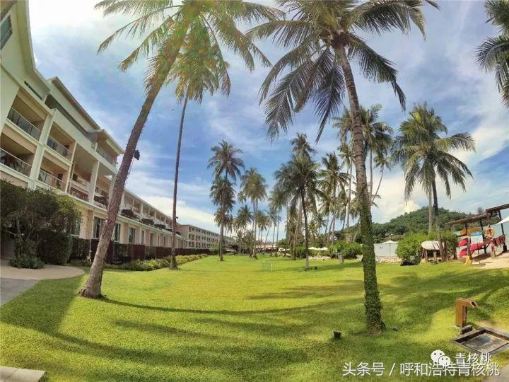 刷我滴卡泰国原版,呼和浩特直飞普吉岛