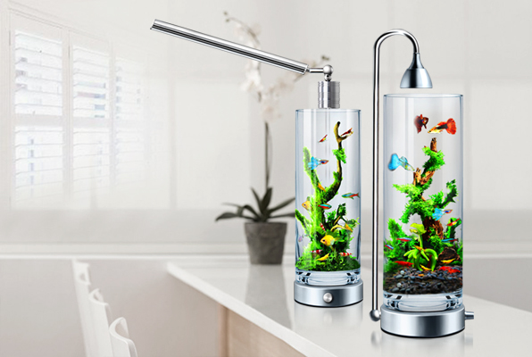 小鱼缸供氧多久,小鱼缸氧气管出水