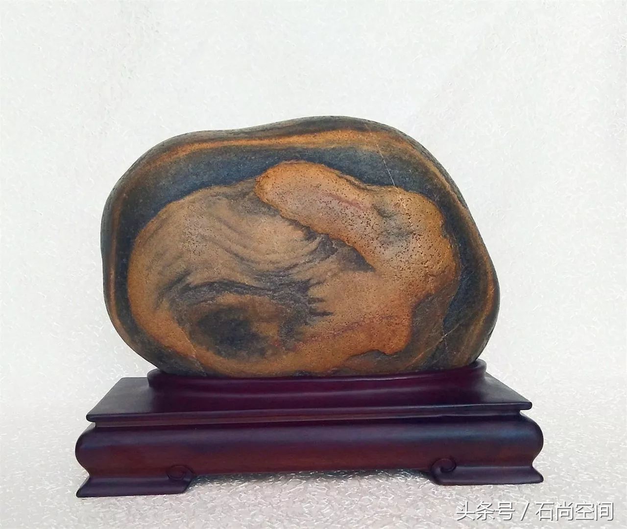 月是故乡明全集免费观看,月是故乡圆电视剧全集